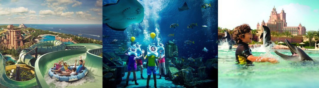 棕櫚島亞特蘭提斯水族館Aquaventure