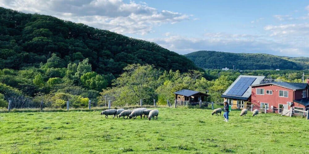 北海道 網走住宿
