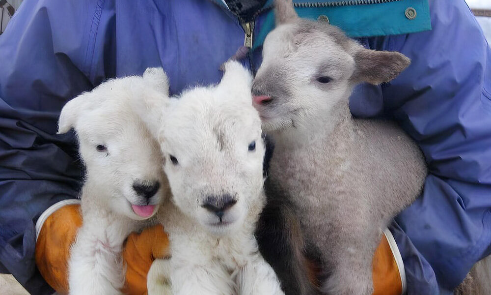 北海道 網走住宿
